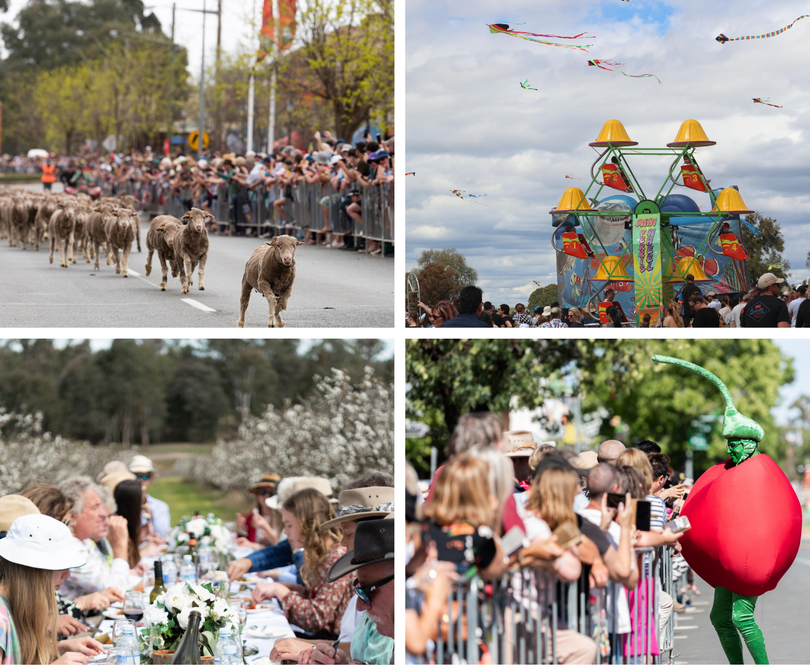 New approach for Hilltops Region 2020 Major Events