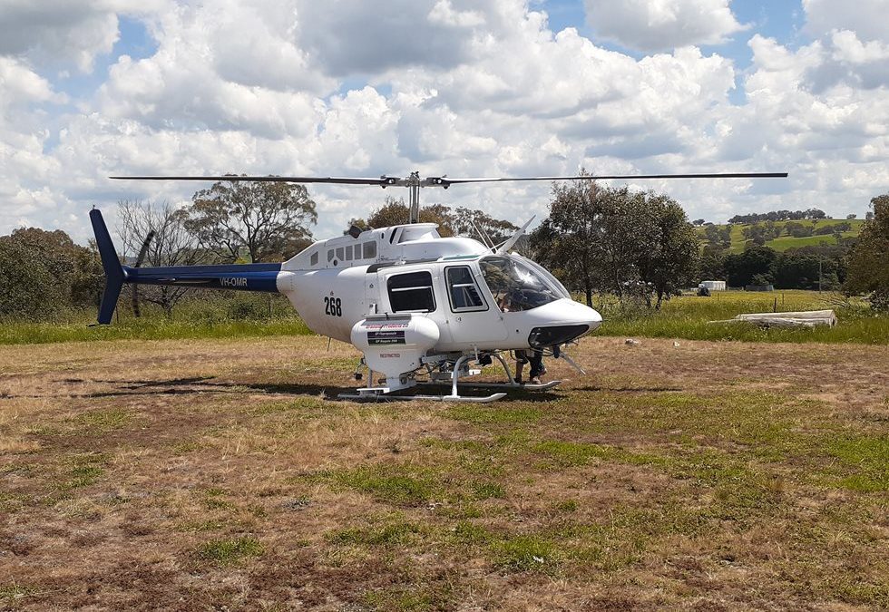 Aerial weed control spraying along Hume Highway