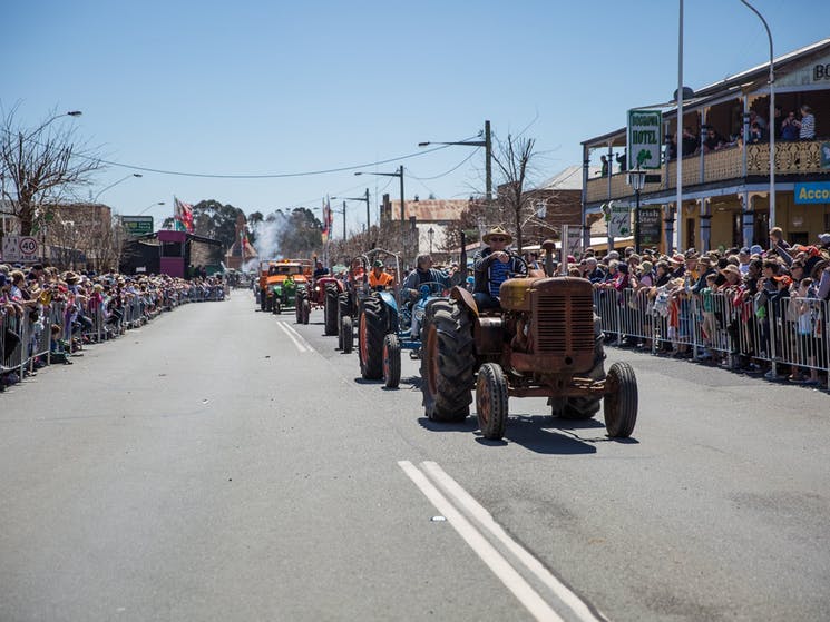 Hilltops Festivals attract $100,000 in grants